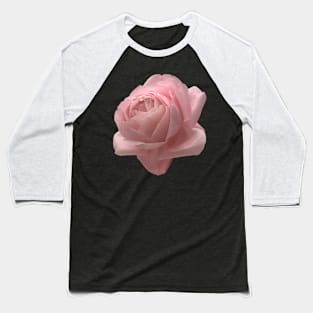 Big Pink Rose Close-up Baseball T-Shirt